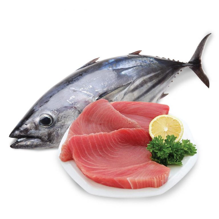 Giải đáp thắc mắc: 100g cá ngừ bao nhiêu protein